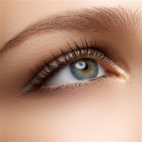Lash Lift & Tint
